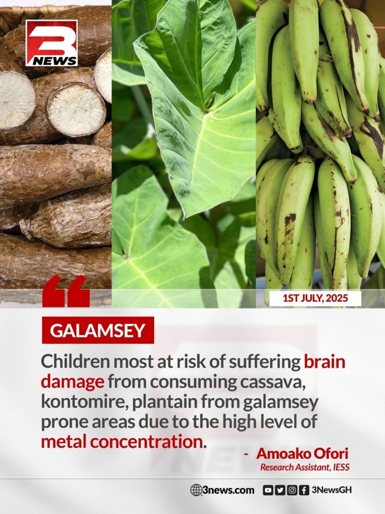 Mercury-Contaminated Cassava from Galamsey Areas in Atiwa West Poses Public Health Threat – IESS Study